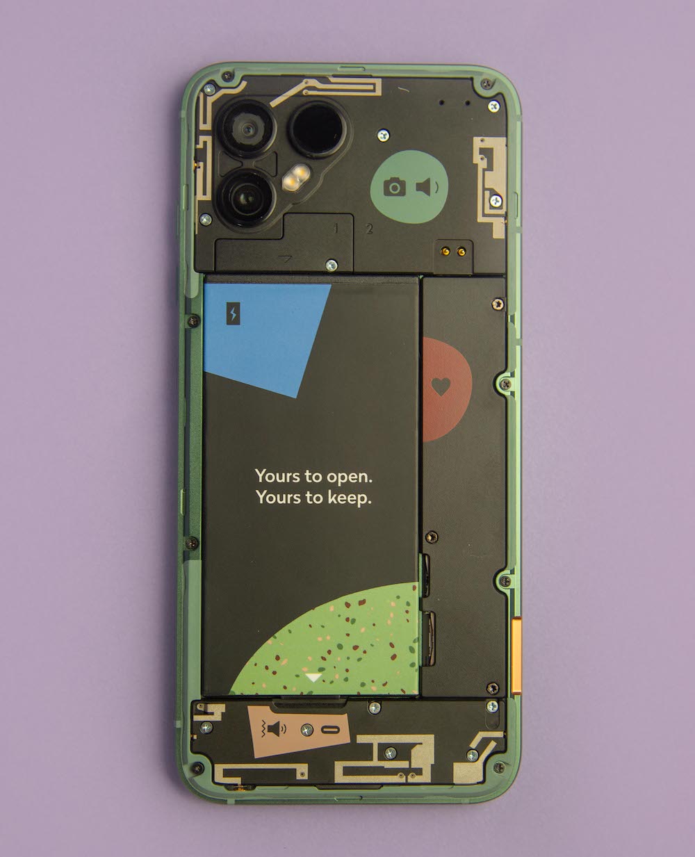 FP4 with the back cover removed and Screw heads & color visible..jpg
